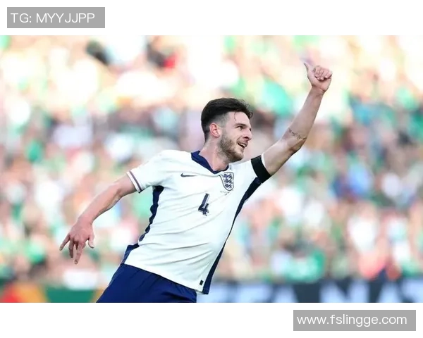 爱尔兰国家足球队现役明星球员完整名单及其精彩表现分析